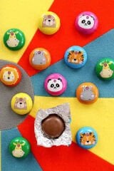 Mini Elitoloji Animals Asetat Kutu 200g