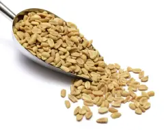 Qavruq Glutensiz Amigo Fıstık 250 gr