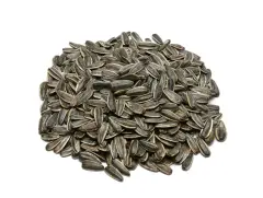 Qavruq Glutensiz Siyah Çekirdek Tuzlu 250 Gr