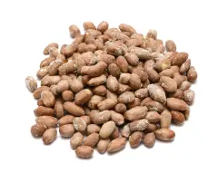 Qavruq Glutensiz Fıstık Jumbo Tuzlu 250 Gr