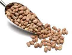 Qavruq Glutensiz Fıstık Jumbo Tuzlu 250 Gr