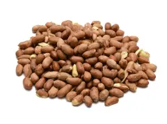 Qavruq Glutensiz Fıstık Jumbo Tuzsuz 250 Gr