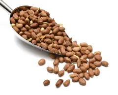 Qavruq Glutensiz Fıstık Jumbo Tuzsuz 250 Gr