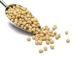 Qavruq Glutensiz Kavrulmuş Fındık 200 Gr