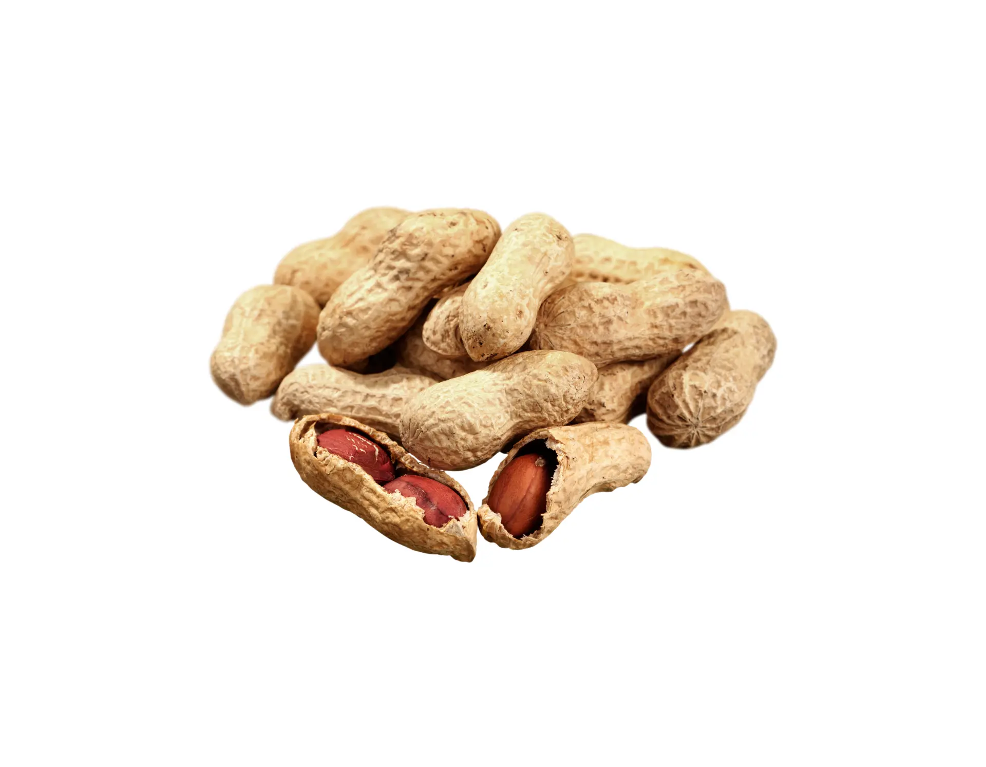 Qavruq Glutensiz Kabuklu Yer Fıstığı 300 Gr