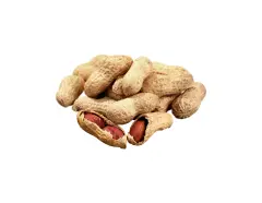 Qavruq Glutensiz Kabuklu Yer Fıstığı 300 Gr