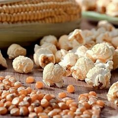 Yerli Tombul Patlatmalık Özel Mısır 500 gr