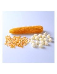 Yerli Tombul Patlatmalık Özel Mısır 500 gr